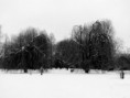 /album/weerfotos/img-5597bewerkt-jpg/