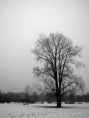 /album/weerfotos/img-5832bewerkt-jpg/